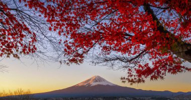 Fuji Dağı ve kırmızı akçaağaç ağaç Kawaguchiko Gölü, Japonya