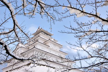 Kar yağışlı Tsuruga-jo davası Winter Su 'daki sakura dallarına düşüyor.