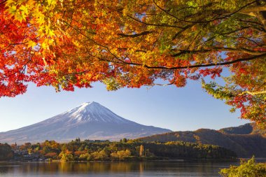 Fuji Dağı ve Kızıl Akçaağaç Sonbaharda Kawaguchiko Gölü 'nden ayrılıyor