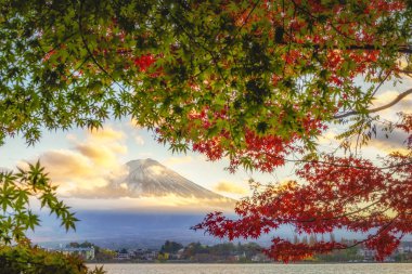 Fuji Dağı ve Akçaağaç Sonbahar Suyu 'nda Kawaguchiko Gölü' nde Yapraklar