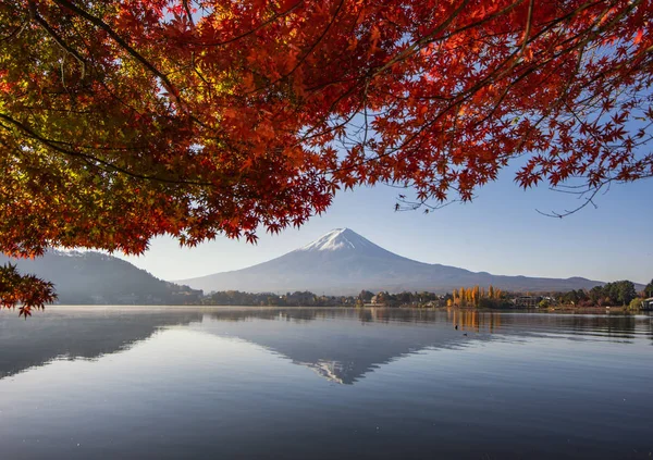 Reflexión de la montaña Fuji y hojas de arce rojo en otoño en Kawag — Foto de Stock