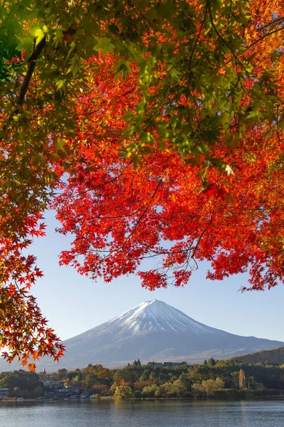 Fuji berg en rode esdoorn bladeren in de herfst bij Kawaguchiko Lake — Stockfoto