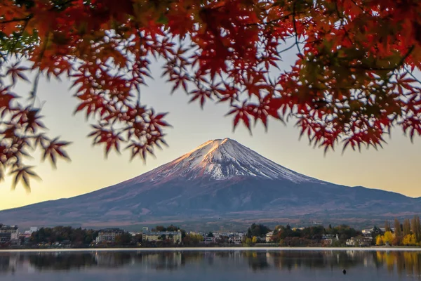 Montaña Fuji y hojas de arce rojo en otoño al amanecer, Kawagu — Foto de Stock