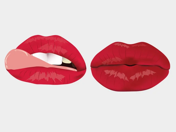 Lábios de mulheres. Lábios exuberantes, como beijar com uma boca aberta. Chic sexy lábios vermelhos no fundo Nude. Dois lábios femininos, sexy. Lábios com língua, erótico, em um fundo claro. Imagem erótica, sexy . — Vetor de Stock