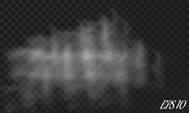Sis ya da duman izole edilmiş şeffaf özel efekt. Beyaz vektör bulanıklığı, sis veya sis arkaplanı. Vektör illüstrasyonu