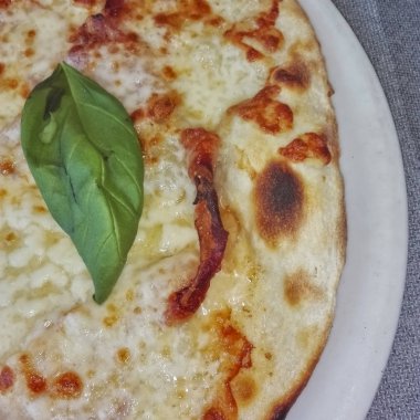 Yeşil fesleğen yaprak gri bir arka plan üzerinde beyaz pizza