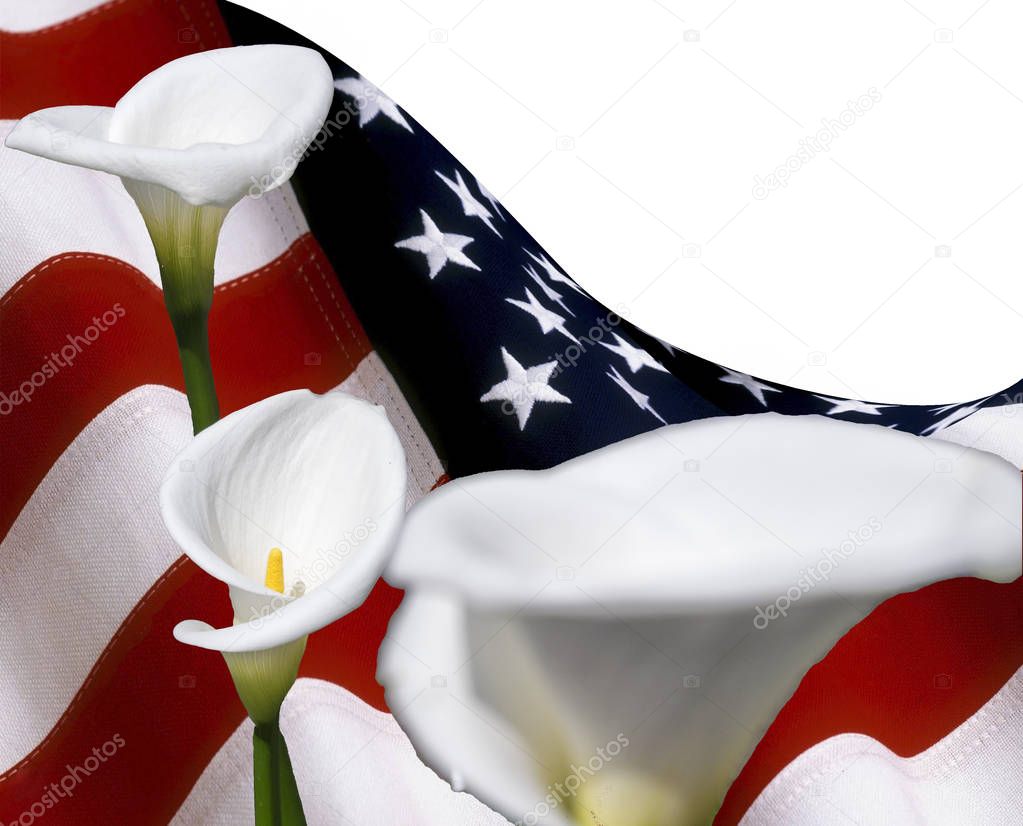 copy space with usa flag and calla lilyum flowers, for graphical concept