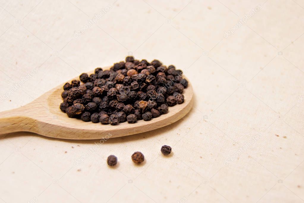 soft focus of spicy black pepper seeds on a wooden spoon (piper nigrum - piperaceae - piperales)