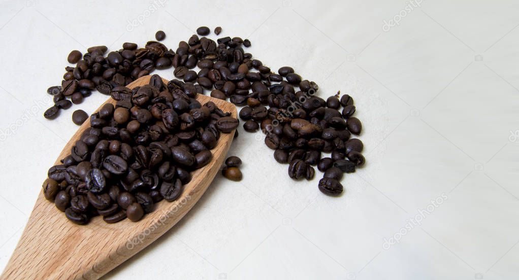 close up of roasted coffee beans on a wood spoon with white background with space for text. 
