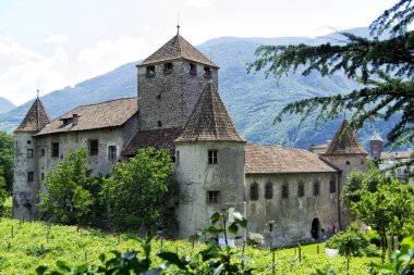 Tarihsel güzel duvarlar ve üzüm bağları - Bozen, South Tyrol, İtalya ile kale 