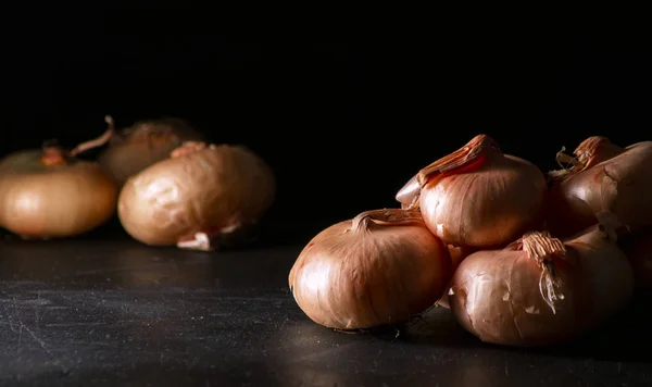 Cebollas de boretano italianas con fondo negro Imagen de stock