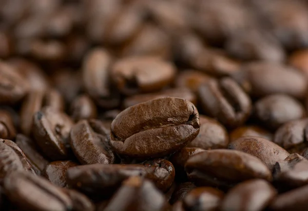 Closeup de grãos de café com foco em um — Fotografia de Stock