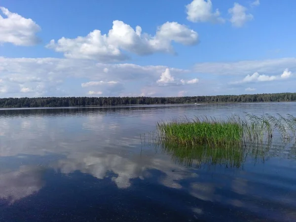 Kesällä Syksyllä Aktiivinen Joki Luonto Matkustaa — kuvapankkivalokuva