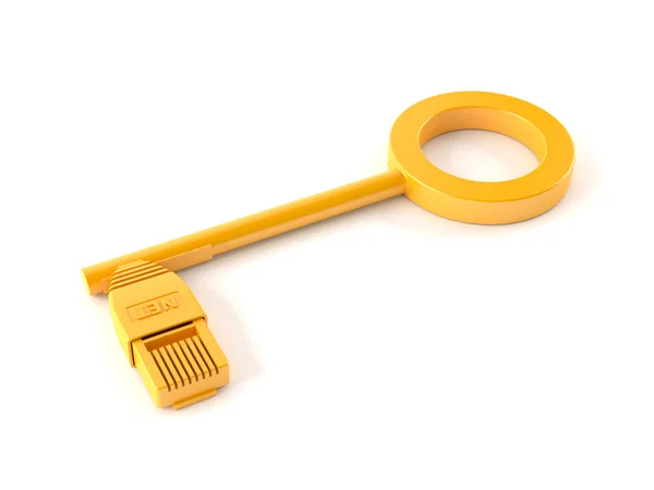 Golden key with rj45 plug — Stock Photo, Image
