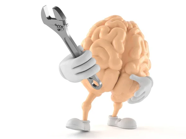 Klucz do regulacji charakteru mózgu — Zdjęcie stockowe