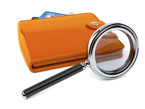 Wallet with magnifying glass — Stock Photo, Image