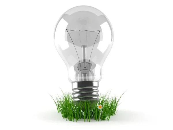 Light bulb with grass — Stock Photo, Image