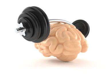 Beyin eğitim kavramı