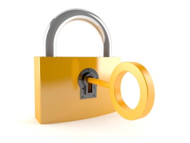 anahtar ile asma kilit