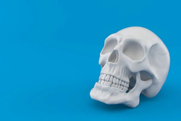 Skull — Stock Photo, Image