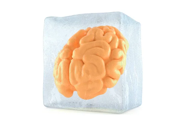Мозг в кубике льда — стоковое фото
