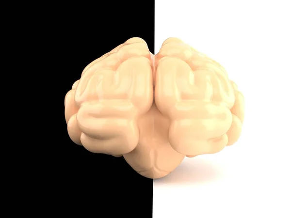 Cérebro isolado em fundo preto e branco — Fotografia de Stock