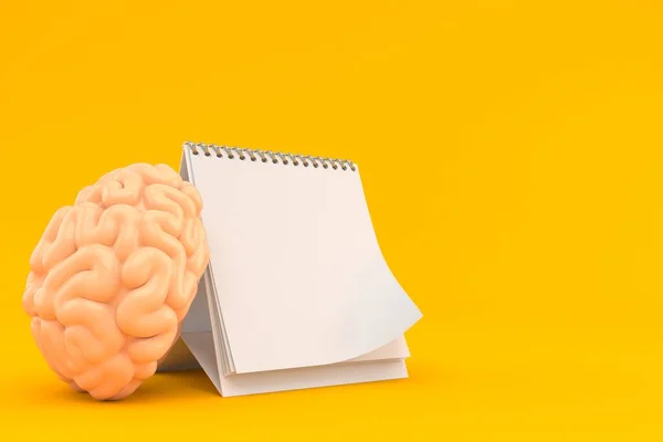 Cerebro con calendario en blanco —  Fotos de Stock