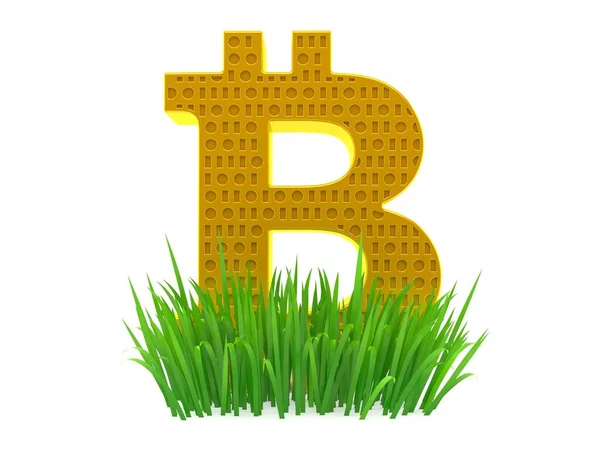 Bitcoin szimbólum a füvön — Stock Fotó