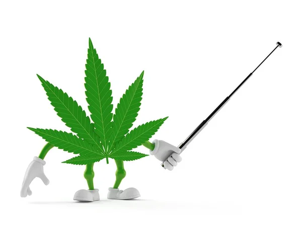 Carácter cannabis apuntando con un puntero —  Fotos de Stock