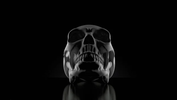 검은 배경의 두개골 — 스톡 사진