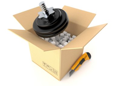 Karton kutunun içindeki aptal