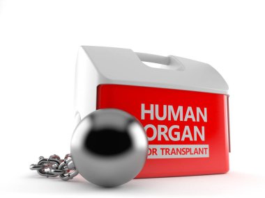 Hapishane balosuyla insan organı için soğutucu