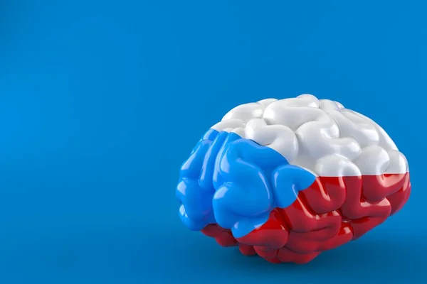 Brain with czech flag — Stock Photo, Image