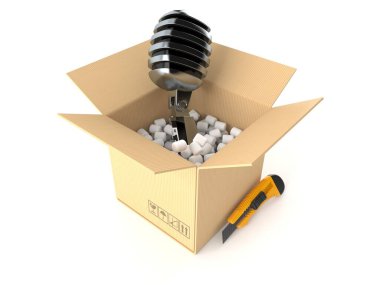 Paketin içindeki mikrofon