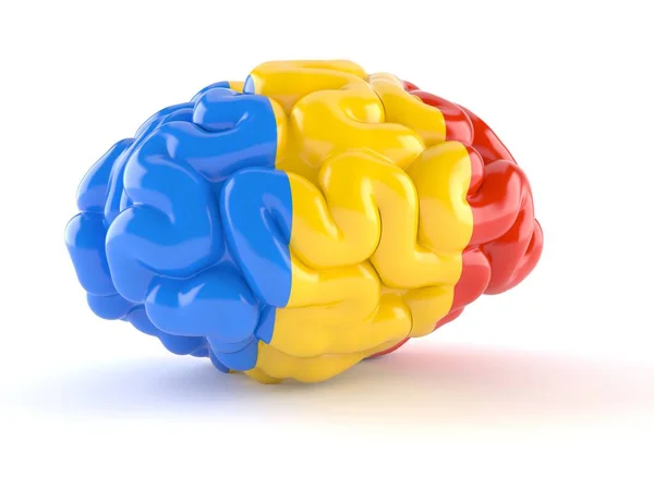 Cérebro com bandeira romena — Fotografia de Stock