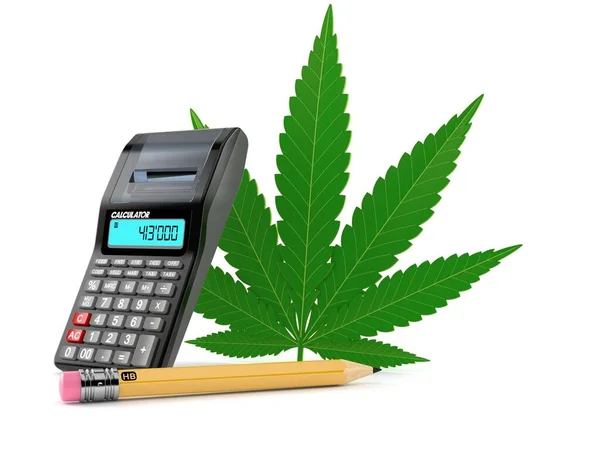 Cannabisblatt mit Taschenrechner und Bleistift — Stockfoto