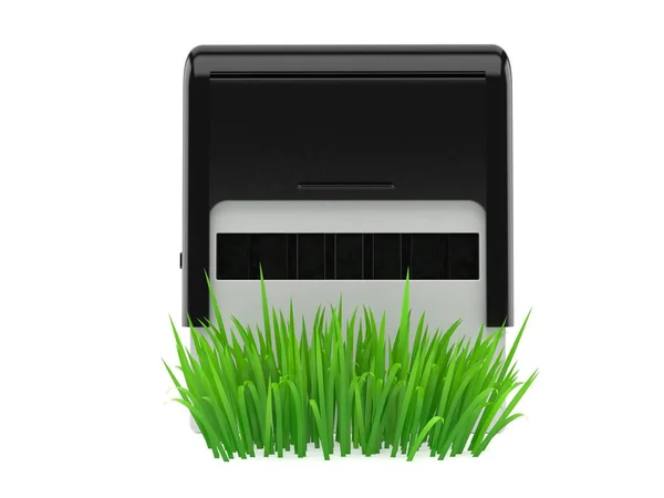 Stempel auf Gras — Stockfoto