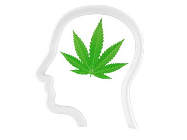 Baş profili içinde esrar yaprağı