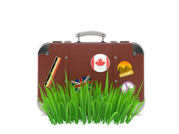 Travel case on grass — Stock Photo, Image