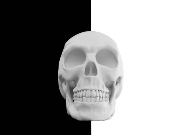 Skull on black and white background — Stock Photo, Image