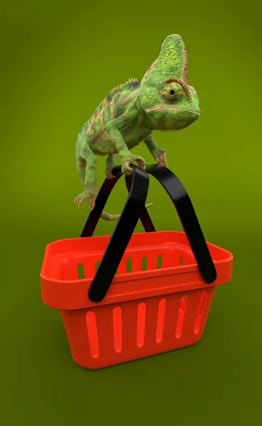 Camaleão com cesta de compras — Fotografia de Stock