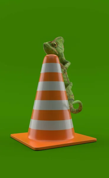 Camaleão no cone de tráfego — Fotografia de Stock