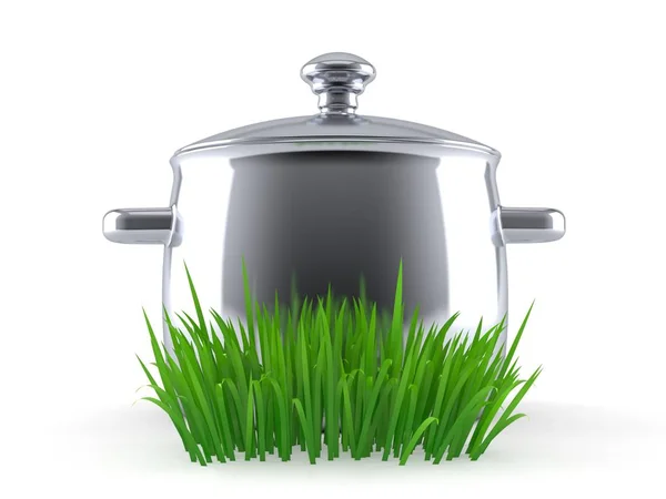Kitchen pot on grass — Stock Photo, Image