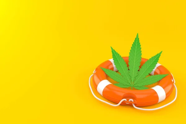 Cannabislöv inuti livboj — Stockfoto