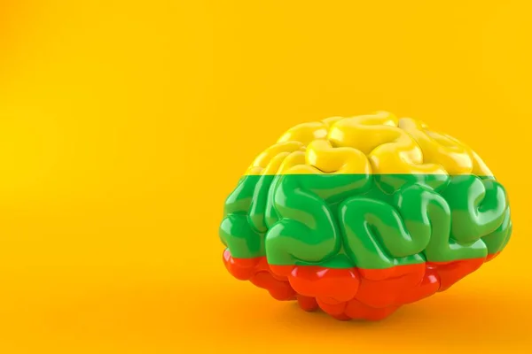 Brain with lithuanian flag — Stock Photo, Image