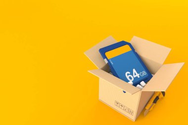 Paketin içindeki Sd kartı