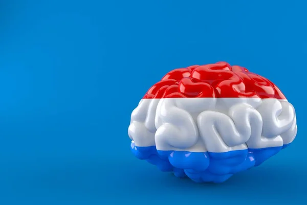 Cerveau Avec Drapeau Luxembourgeois Isolé Sur Fond Bleu Illustration — Photo