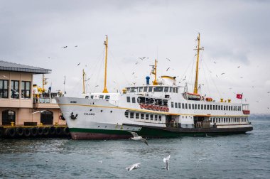 Kadıköy, Istanbul Feribot Tekne