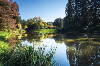 sonbahar kırsal manzara 