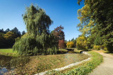 sonbahar kırsal manzara 